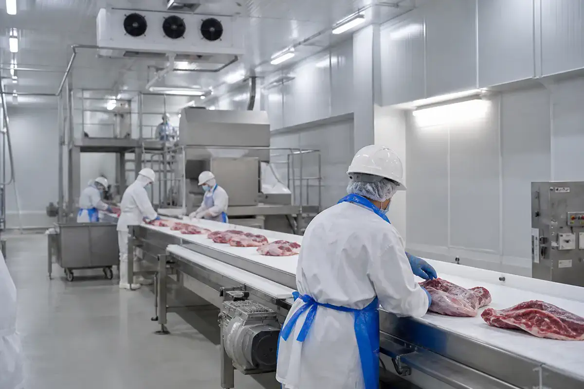 Азық-түлік өңдеу | BRD Kazakhstan Азық-түлік өңдеу — Meat — азық-түлік өндірісі 11 | BRD Kazakhstan