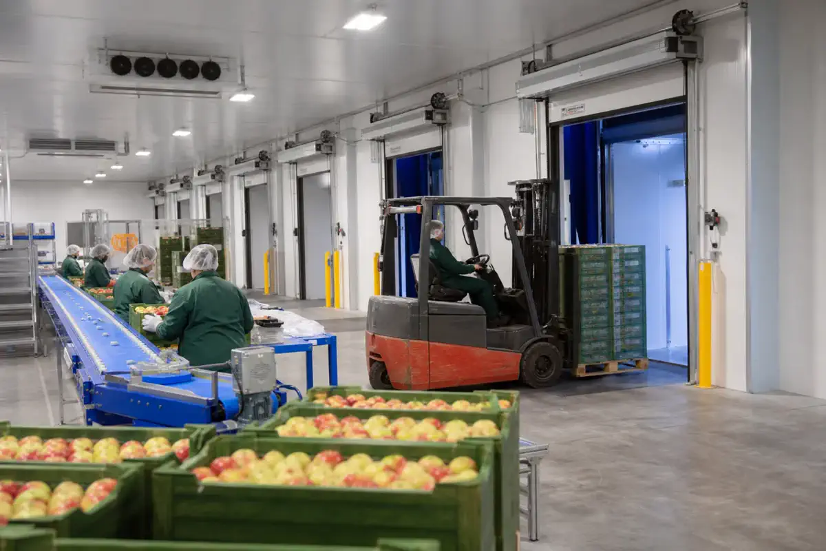 Азық-түлік өңдеу | BRD Kazakhstan Азық-түлік өңдеу — Dairy — таза бөлме 27 | BRD Kazakhstan